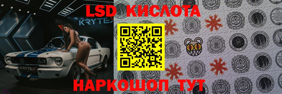 Бошки Шишки Вязники