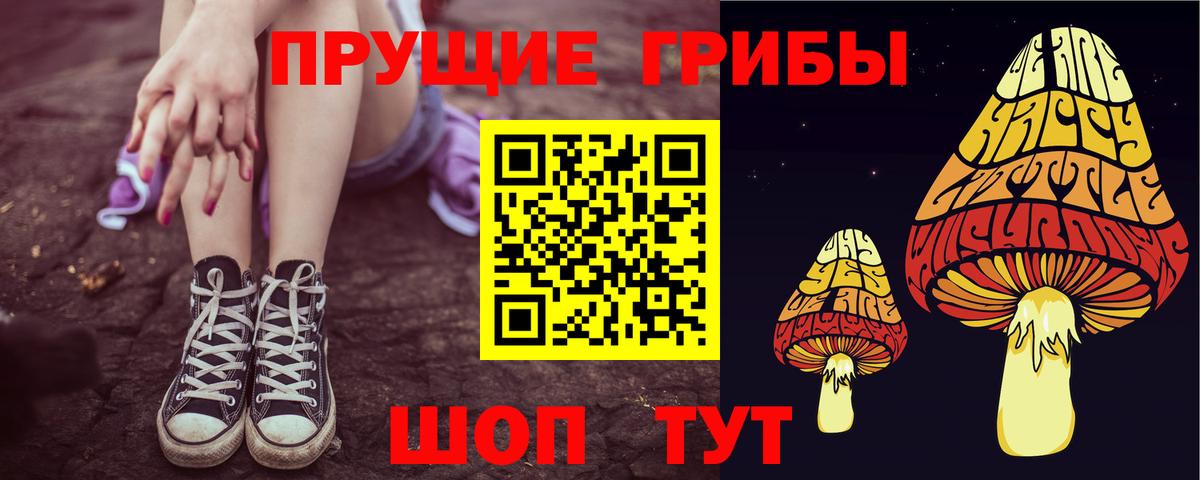 Галлюциногенные грибы MAGIC MUSHROOMS Вязники