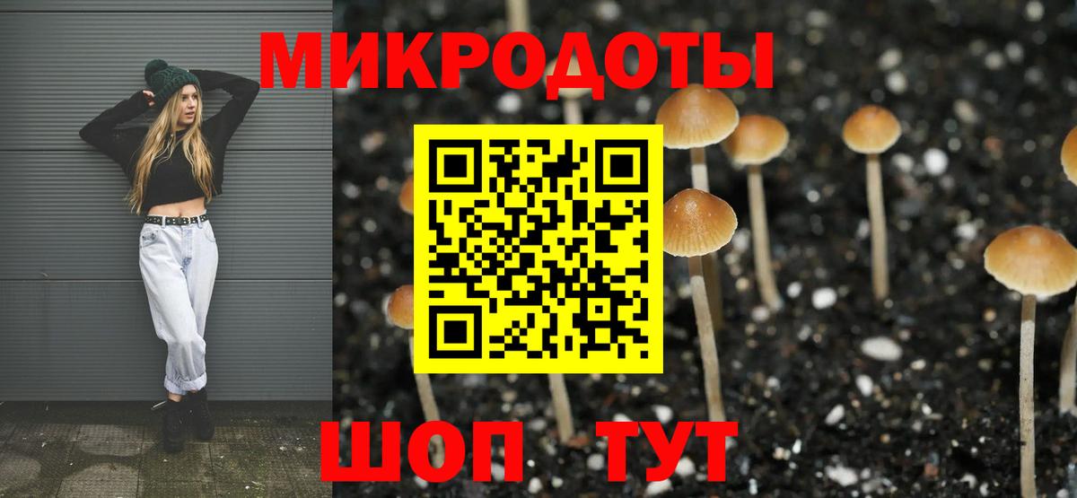 Вязники  Псилоцибиновые грибы мицелий  Вход с VPN  Псилоцибиновые грибы Cubensis 